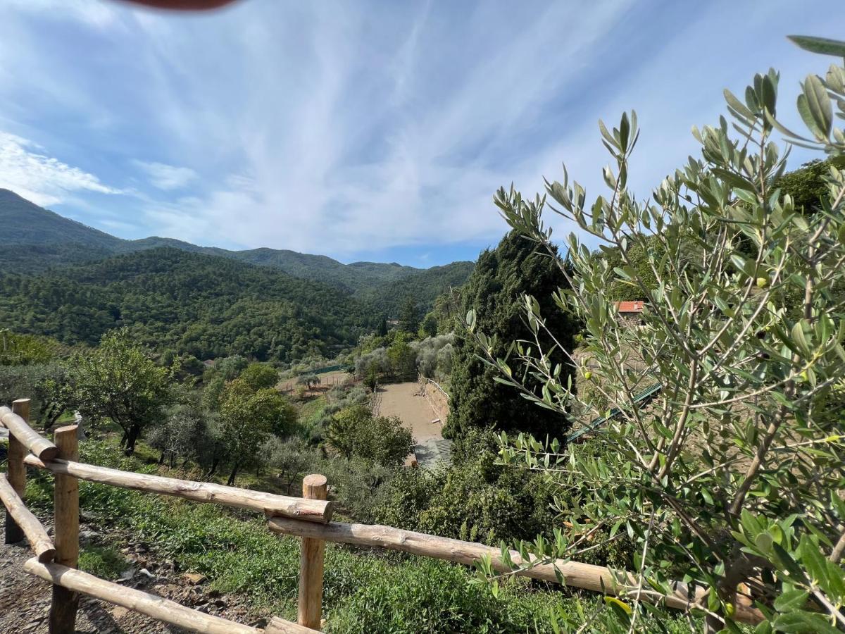 Agriturismo Torsivi Castiglione Chiavarese Zewnętrze zdjęcie