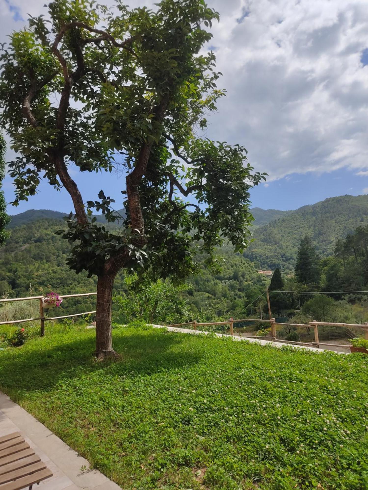 Agriturismo Torsivi Castiglione Chiavarese Zewnętrze zdjęcie